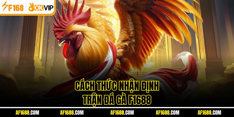 Cách thức nhận định trận đá gà F1688